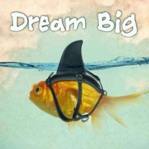 Dream Big